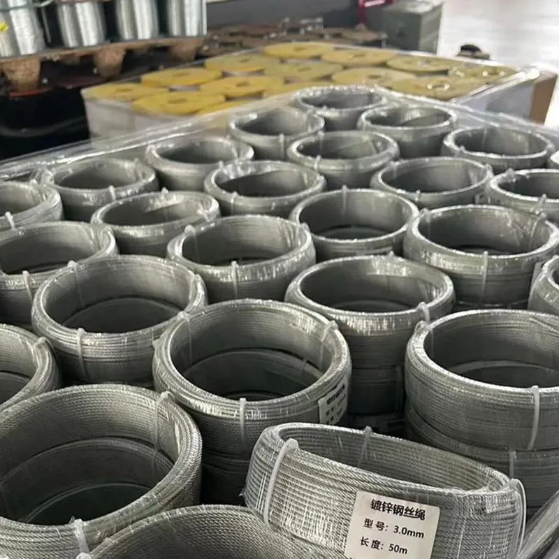 Hot-Dipped Galvanized Steel Wire Rope